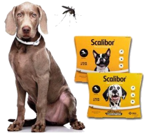 collar-scalibor-48-cm